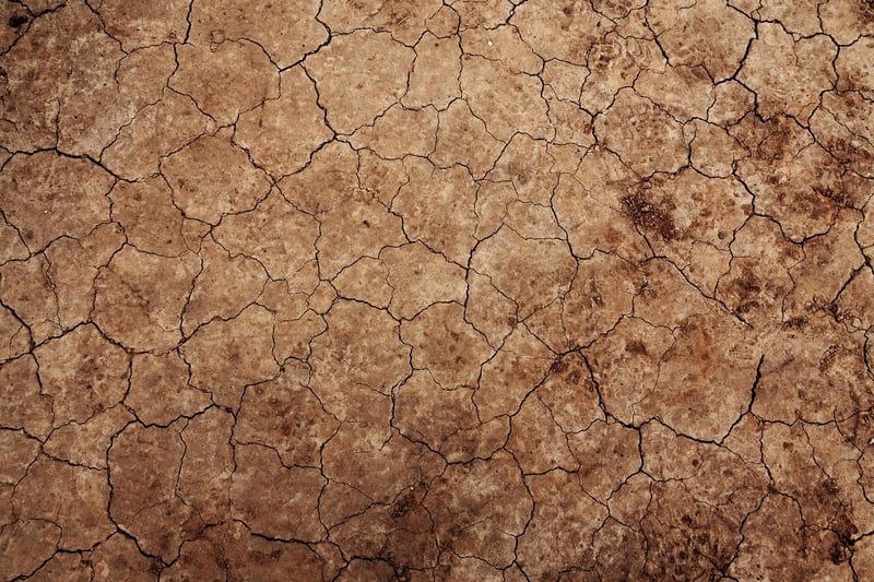 Soil Management